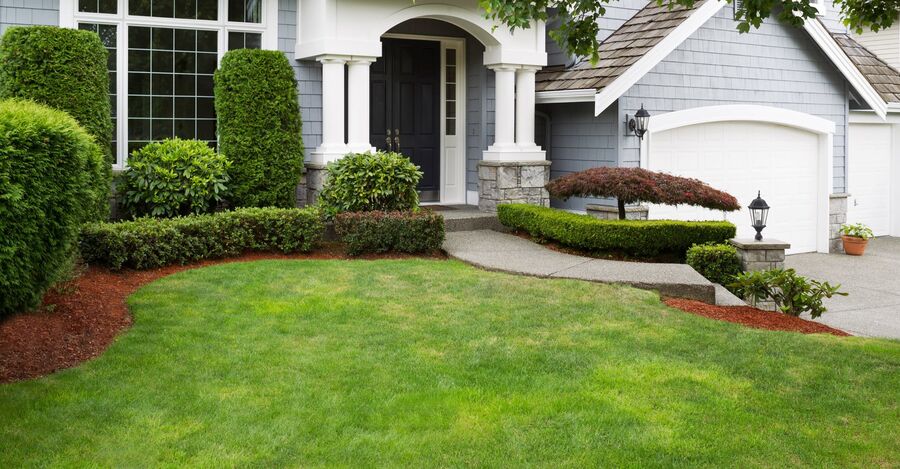 Beautifully Landscaped Yard by GF Amador Tree Services & Complete landscaping LLC