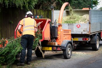 Wood chipper services in Skippack, Pennsylvania by GF Amador Tree Services & Complete landscaping LLC