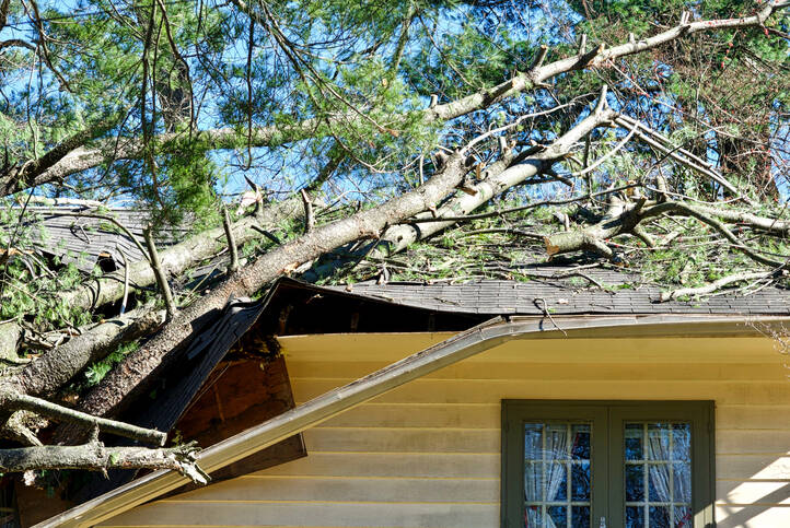 Storm damage cleanup by GF Amador Tree Services & Complete landscaping LLC