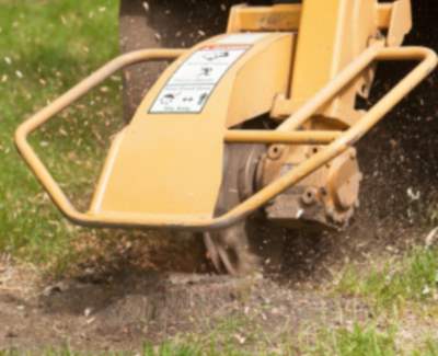 Stump grinding and removal in Gwynedd, Pennsylvania by GF Amador Tree Services & Complete landscaping LLC