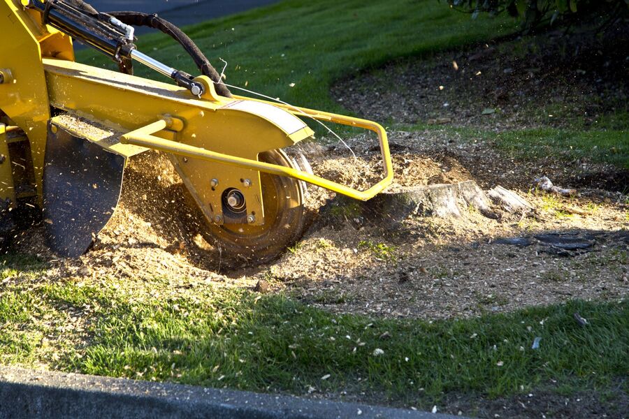 Stump Grinding & Stump Removal by GF Amador Tree Services & Complete landscaping LLC